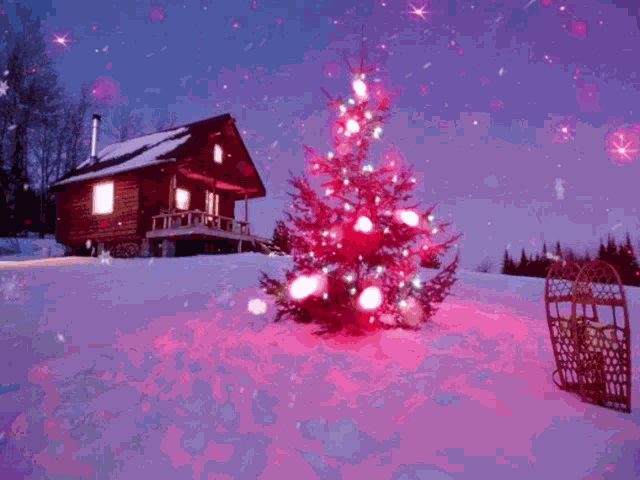Xmas Tree Christmas Tree GIF