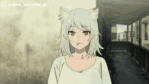 Yaniko Satou Yani Neko GIF