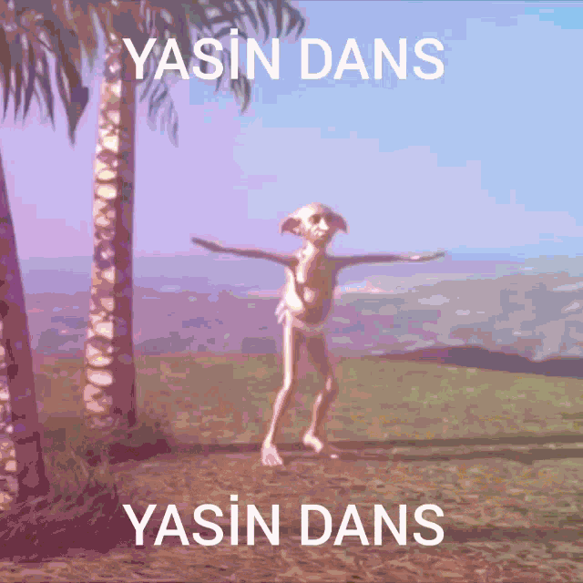 Yasin Yasin Dans GIF