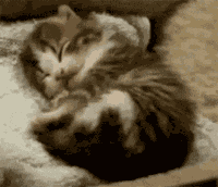 Yawn Tired GIF