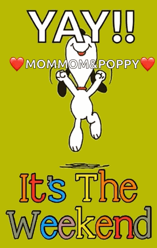Yay Yay It’s The Weekend GIF