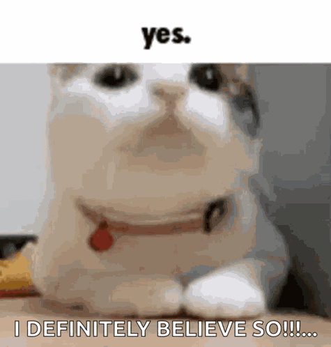 Yes GIF