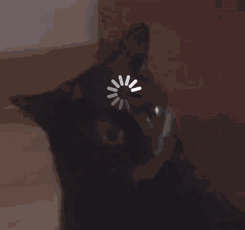 Yeyeskies Midnight The Cat GIF