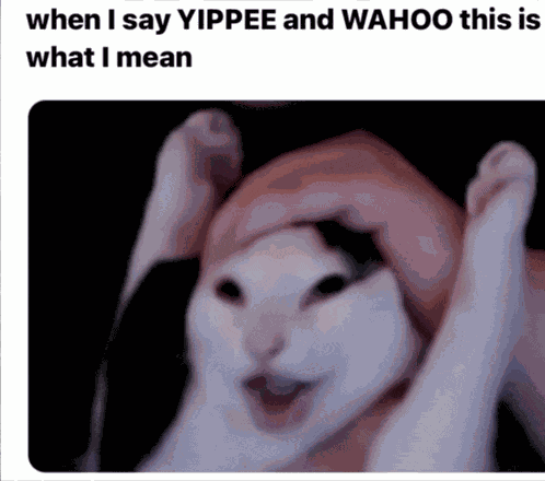 Yippee Yahoo Meme