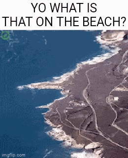 Yo Whats That On The Beach GIF