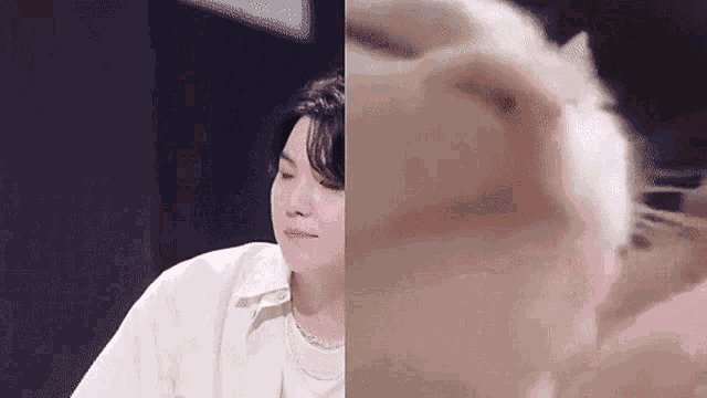 Yoongi Cat Suga Cat GIF
