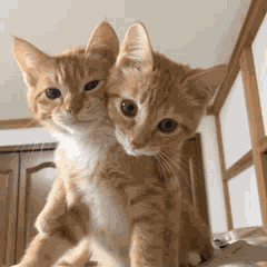Yoonmin Yoongi GIF