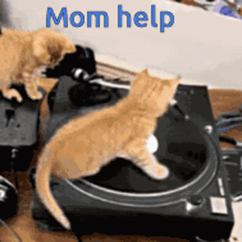 Yooo Mom Help GIF