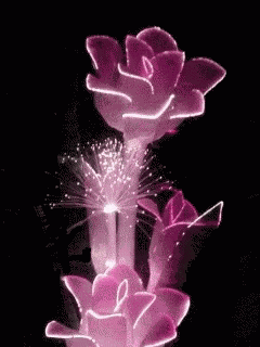 You Are Beautiful Changing Colors GIF