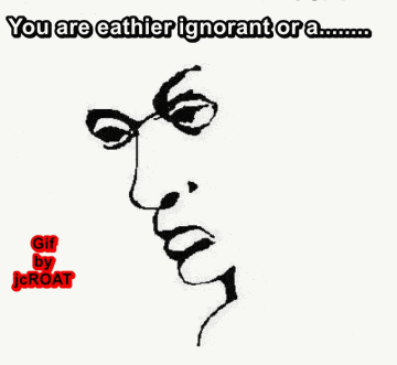 You Are Either Ignorant Or A Liar GIF