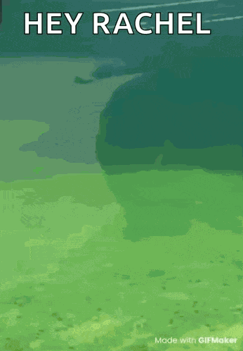 You Busy Are You Busy GIF