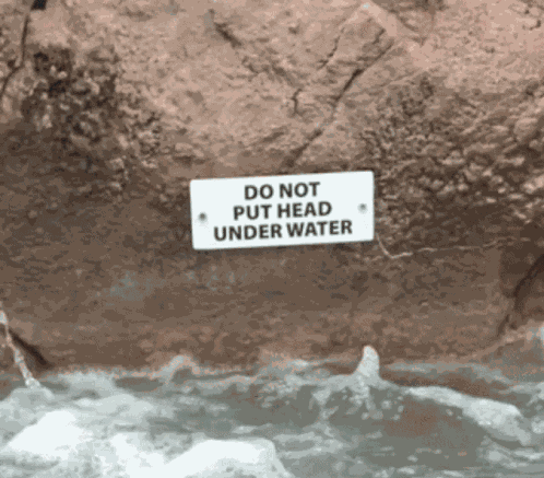 You Dont Own Me Do Not Put Head Under Water GIF