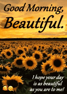 You Good No Worries GIF