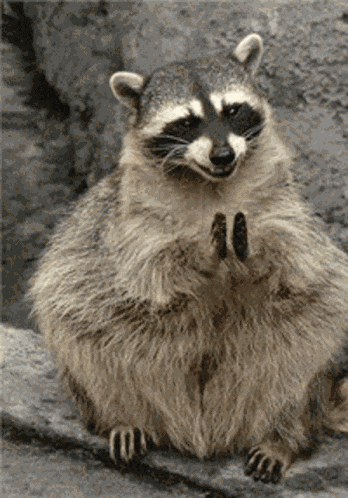 You Got GIF