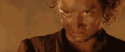 You Know Frodo GIF
