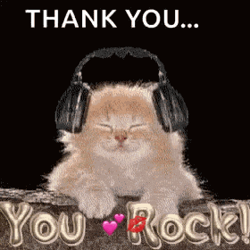 You Rock Cat GIF