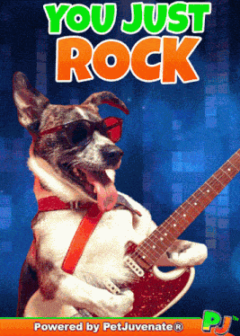You Rock Pj Petjuvenate You Just Rock Pj GIF GIF