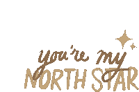 Youre My North Star Maddie And Tae Sticker