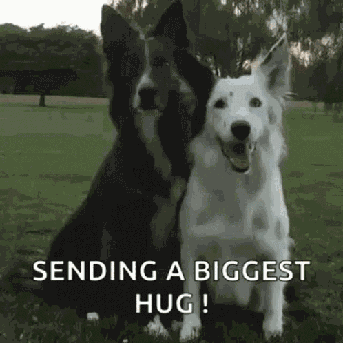 Youre Welcome GIF