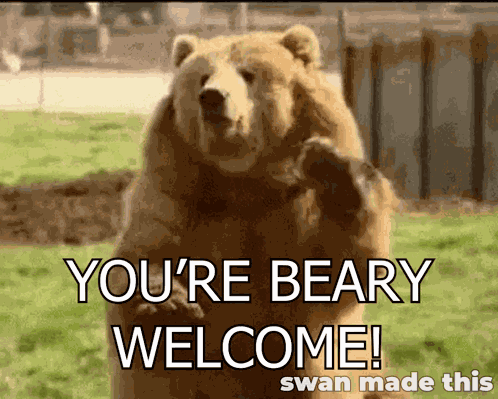 You'Rebearywelcome Bear GIF