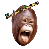 Yourehilarious Laughing Sticker