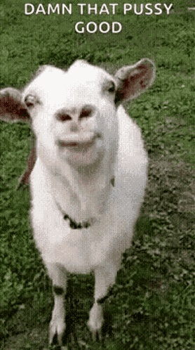 Yum GIF