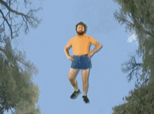 Zach Galifianakis GIF