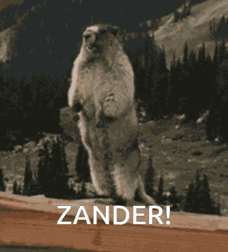Zander Regispop GIF