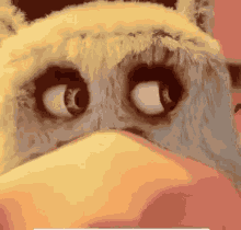 Zaunvi Caitvitwt GIF
