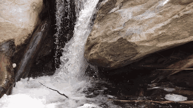 Zen Meditation GIF
