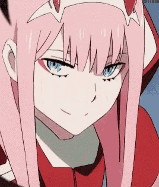 Zero Two Code002 GIF