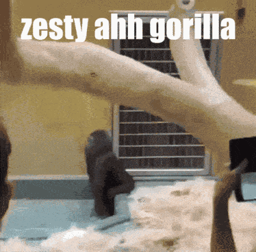 Zesty Gorilla GIF