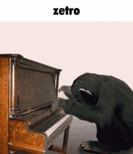 Zetro Zetropfort GIF