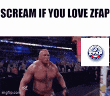 Zfap Robimyameryke GIF