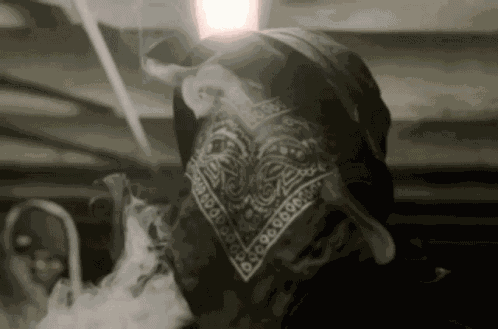 Ziak Ziak Lg GIF