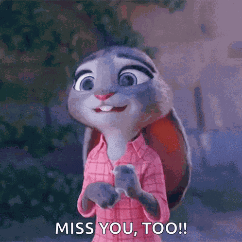 Zootopia Bunny GIF