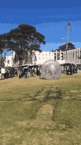 Zorb Ball Hamster Ball GIF