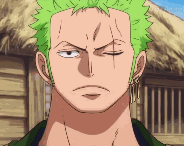 Zoro GIF