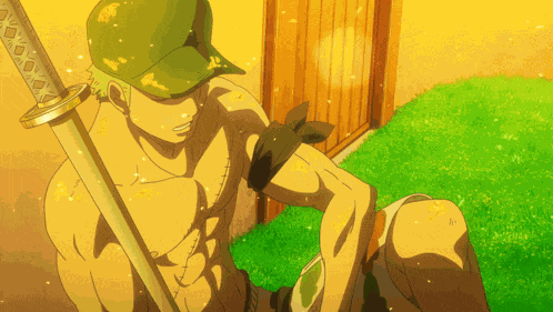 Zoro One Piece GIF