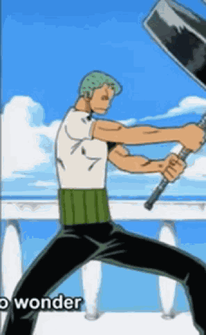 Zoro Pirate GIF