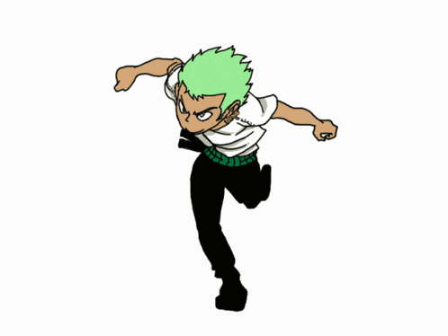 Zoro Roronoa Zoro GIF
