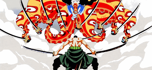 Zoro Roronoa Zoro GIF