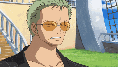 Zoro Roronoa Zoro GIF