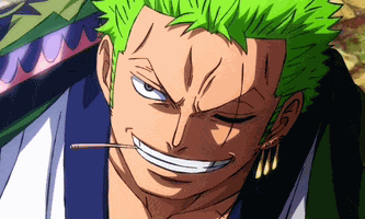 Zoro Ubejd Meme