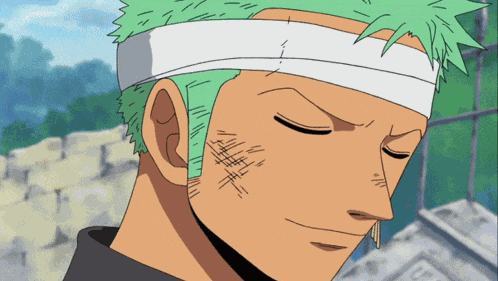 Zoro Zoro Smile GIF