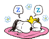 Zzz Sleeping Sticker